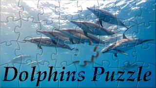 Dolphins puzzle #puzzlewithsound #animalspuzzle #puzzle screenshot 2