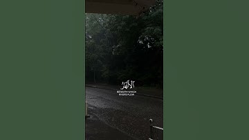 القارئ محمد الغزالي سورة [المائدة]