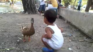 VID-20120501-โดนเป็ดจู๊บ.3GP