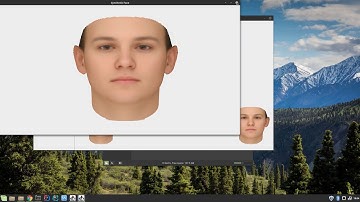 3D Face Rendering & Synthesis