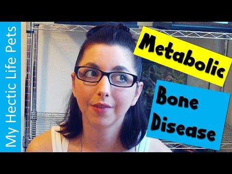 Video: Sakit Sa Metabolic Bone Sa Mga Reptil