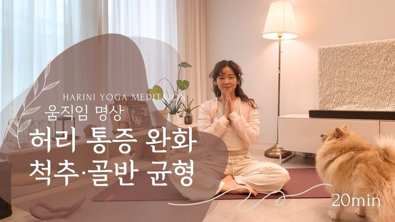 허리 통증 완화 15분 | 척추·골반 균형 움직임 명상