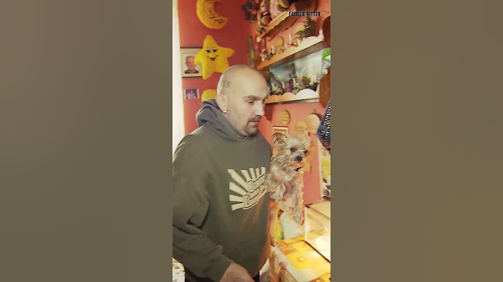 Weihnachten bei den Ritters