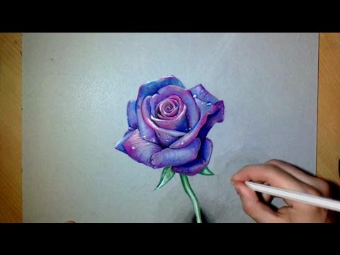 How i draw a realistic Purple Rose - YouTube