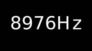 Speaker Sound Test 8976Hz | Speaker cleaner sound