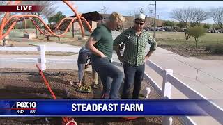 Cory's Corner: Steadfast Farm
