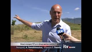 Θεσμική αναγνώριση ΠΟΠ για το τσίπουρο Ιωαννίνων προτείνει ο Γ. Αμυράς - ITV Ειδήσεις 05/06/2026