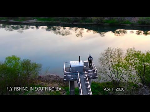 <strong>Fly</strong> fishing - Episode 32 -  <strong>Fly</strong> fishing <strong>in</strong> won dong cheon