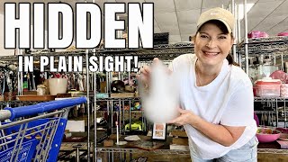 Everyone Walked RIGHT PAST This! | Goodwill Thrift With Me, Haul & Styling Ideas