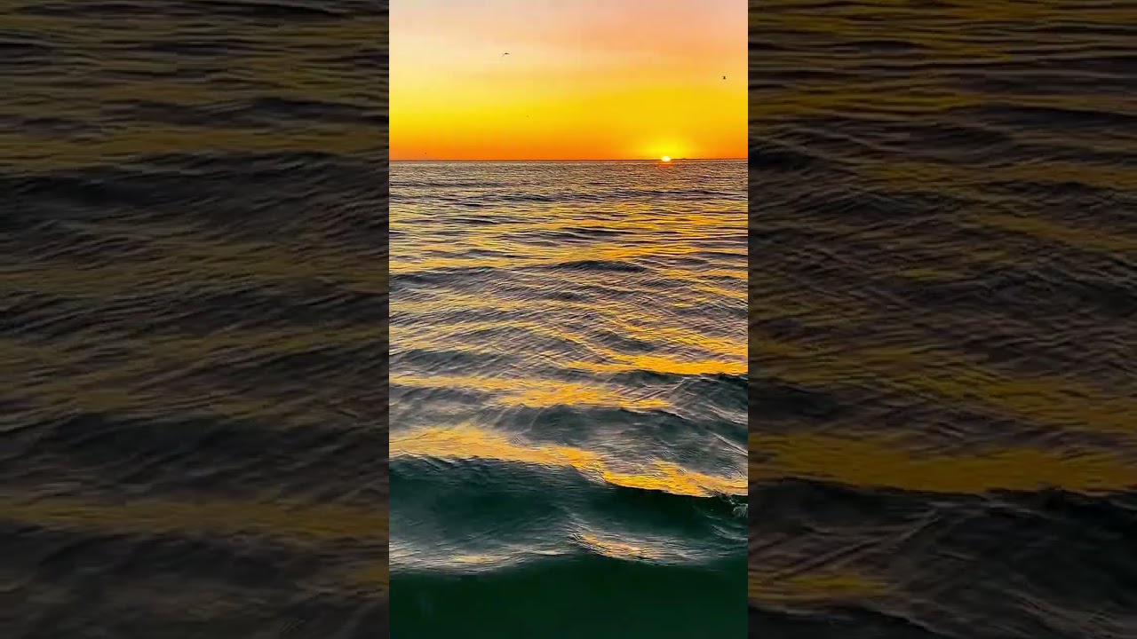 nature video templates free downloadnature background video effects hd free download(3)