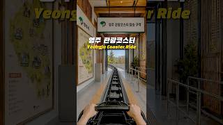 🎢 롤러코스터 타고 영주시 한 바퀴!