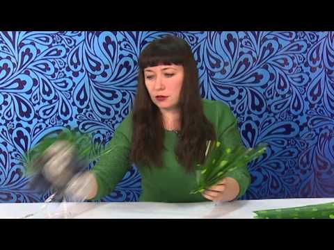 Дело вкуса. Букет из носков для мужчин Дело вкуса. Букет из носков для мужчин