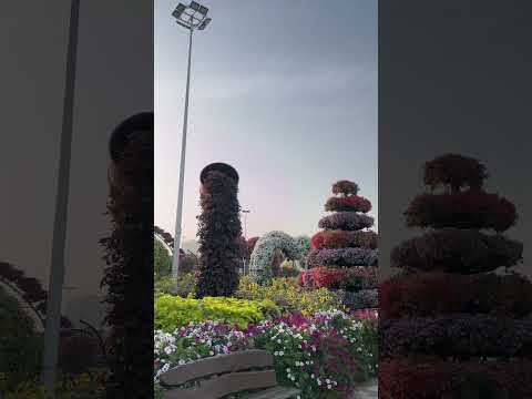 Miracle garden | Dubai | Miracle garden Dubai | باغ معجزه دبی | باغ معجزه | بهشت | #miraclegarden