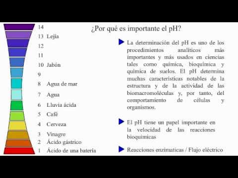 Extranjero Edad adulta Enriquecimiento Concepto de pH y disociación del agua - YouTube