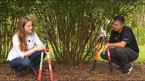 Using Loppers for Garden Maintenance