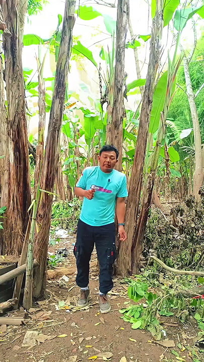 Mau ketawa takut dosa video lucu bikin ngakak hiburan warga 62 viral video funny videos funny shorts