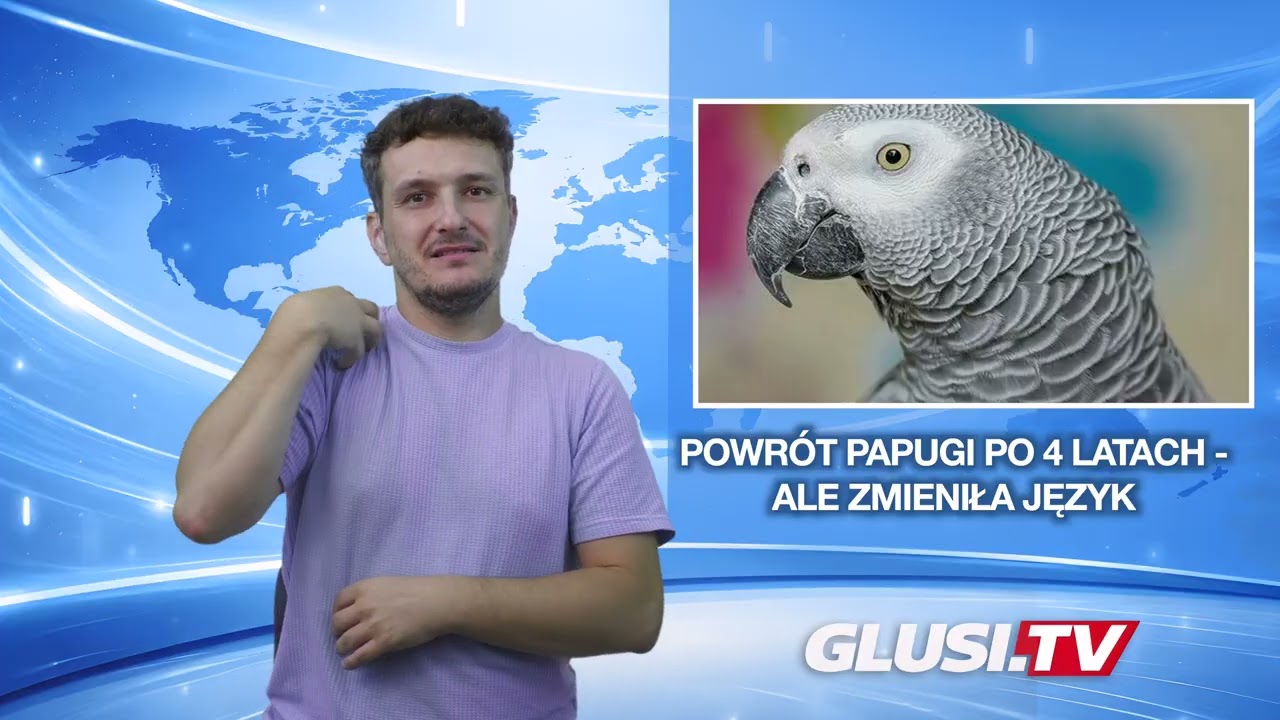 Powrót papugi po 4 latach - ale zmieniła język