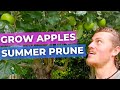 How to Prune Apple Trees in Summer