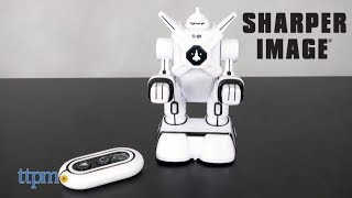 Infrared Control Battle Spacebot from Sharper Image