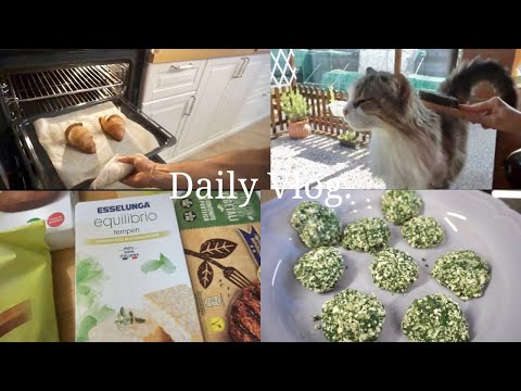 Daily Vlog: Svuota