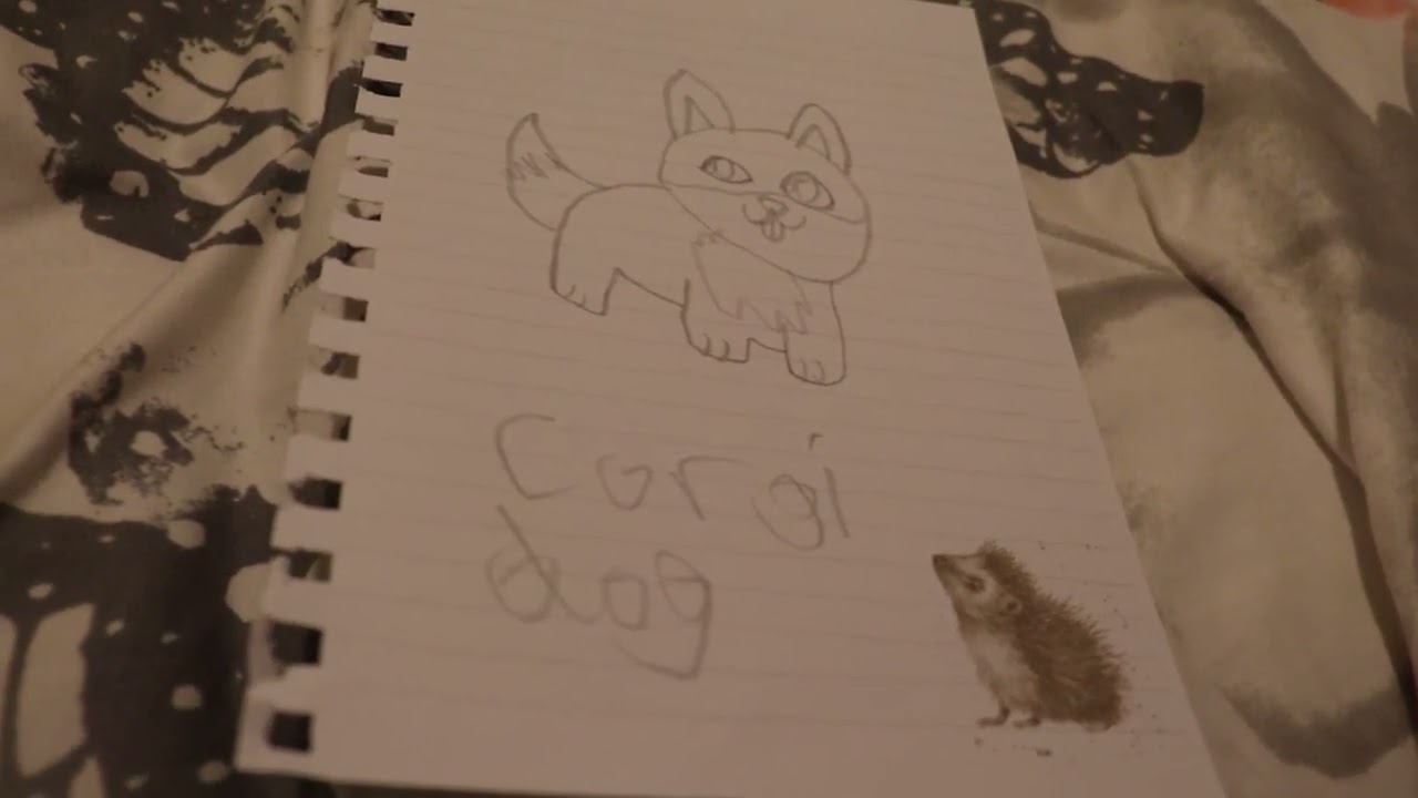 corgi dog drawing
