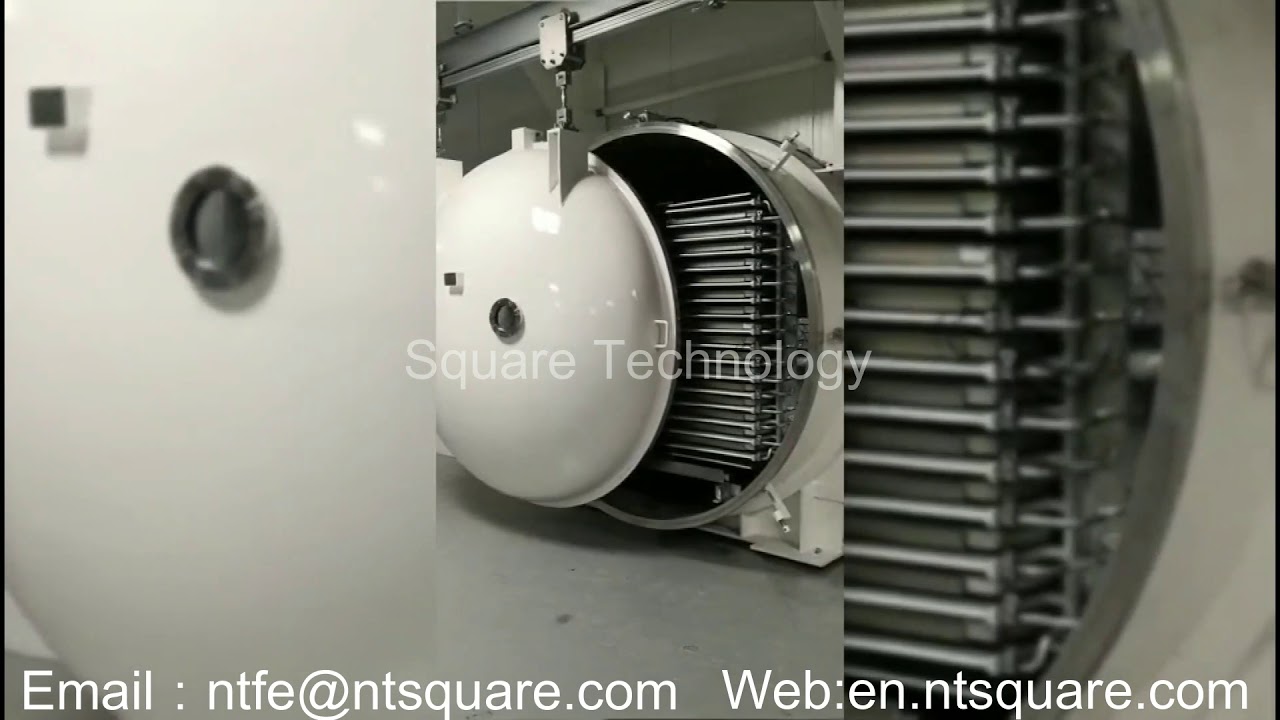 Freeze Dryer (vacuum Chamber Freeze Dryer) For Pet Food Pellets YouTube