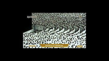 تلاوة عشائية من الحرم المكي، بصوت القارئ الشيخ - الوليد الشمسان _ من أواخر سورة الذاريات.