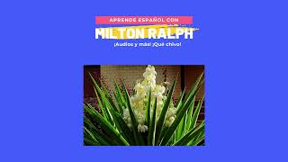 Thumbnail image for Episodio 53 Spanish podcast about "La Flor Nacional de El Salvador"