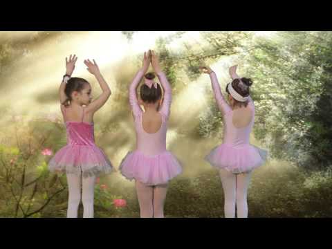 საბალეტო სტუდია 'ანი Zet' ანიმაციური ფილმი