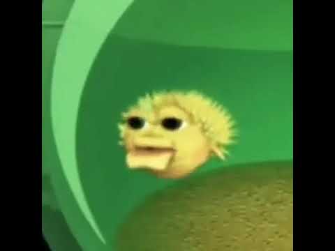 سمكة لعنة الله على كل حبشي
