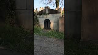 It’s a beautiful morning for a cemetery walk #shorts It’s a beautiful morning for a cemetery walk #shorts