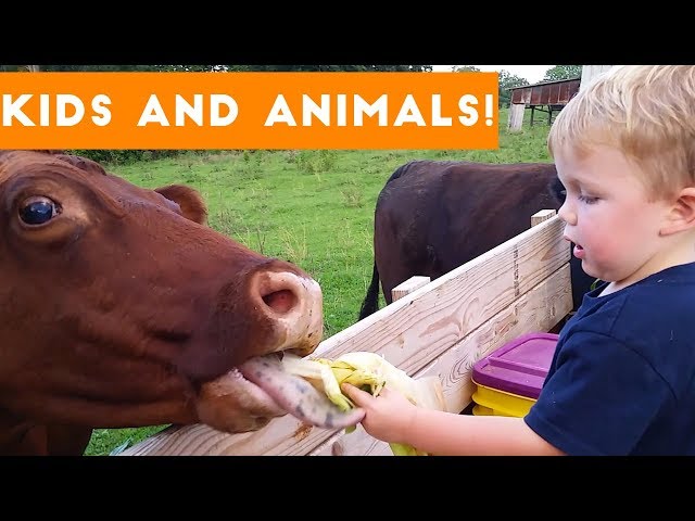 The Funniest Pets Meet The Cutest Kids & Babies of 2017 Weekly Compilation | Funny Pet Videos