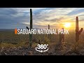 Прогулка по парку Сагуаро | 360 видео