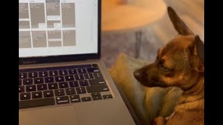 5 Tips: How to Work From Home with a Dog