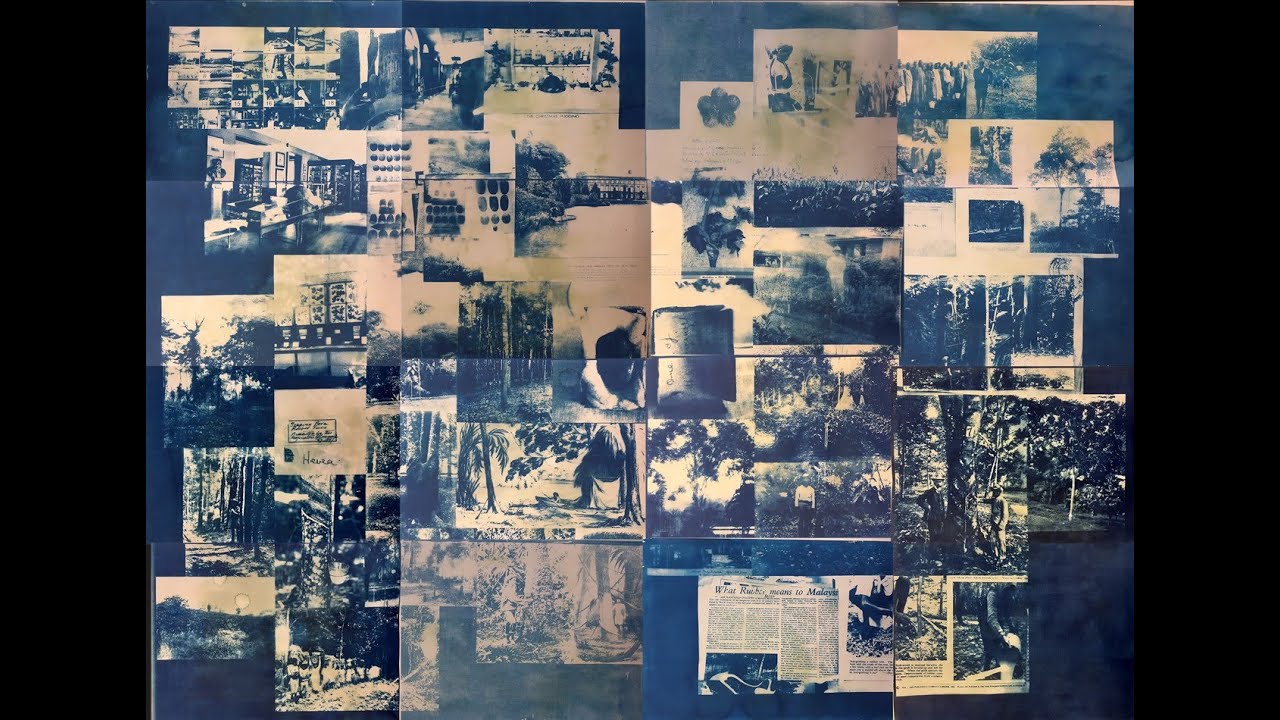 Kew's Botanical Colonialism: The Story of Hevea Brasiliensis