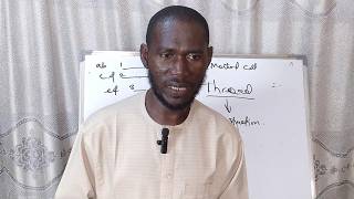 Java  Part 8 Variables (Java Variables Tutorial for Absolute Beginners part one)