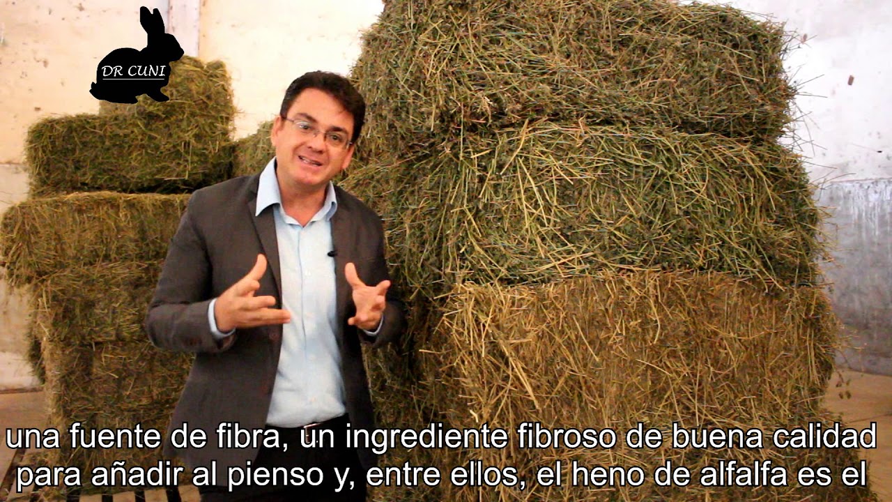 Nutrição e Alimentação de coelhos - 2ª Parte - Formulação de ração, tipos de rações e arraçoamento