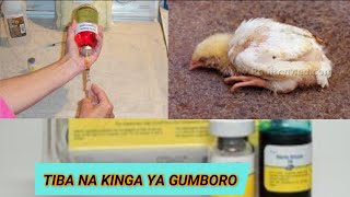 JINSI YA KUKINGA  KUKU WAKO KUTOKANA NA UGONJWA WA GUMBORO