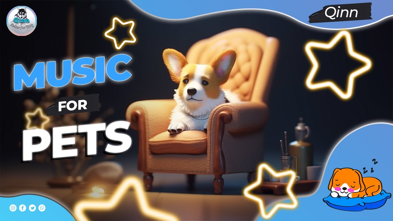 Help your Puppy go to Sleep at Night,ASMR Sleep Music for Anxious Dogs
