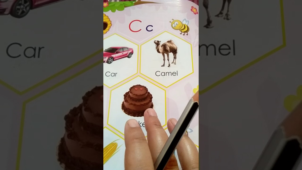 PICTURE DICTIONARY LETTER C YouTube