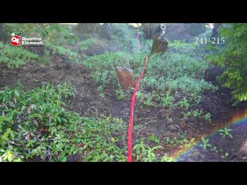 Шланг дождеватель для воды Quattro Elementi 241-215