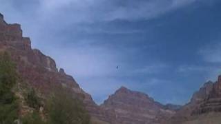 SDV_0038.MP4