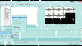 Sony Vegas - Effect 10