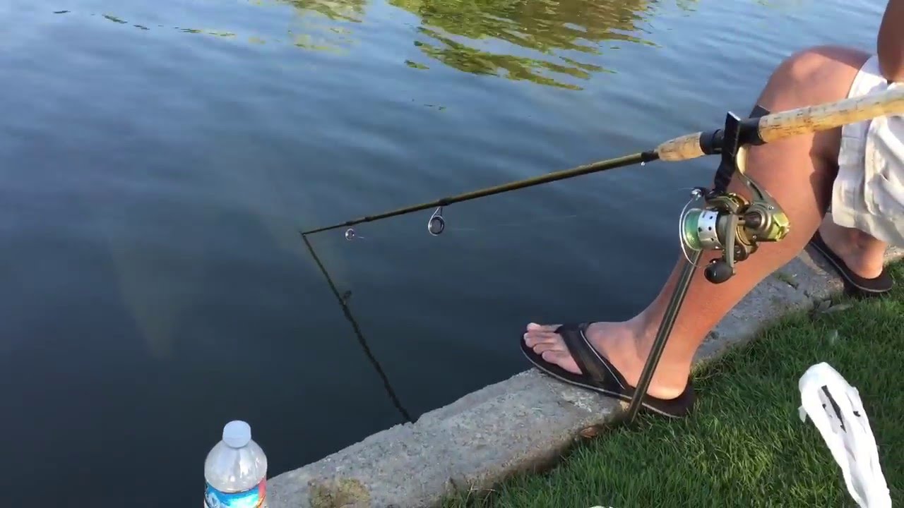 Carp fishing at Carr Park in Huntington Beach , CA ( part 1 YouTube