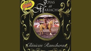 Video thumbnail of "Joyas del Mariachi - No Volveré"