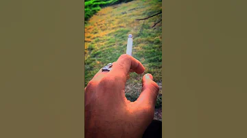 SAD Ring Video Into Your Arams Song Official Video 
