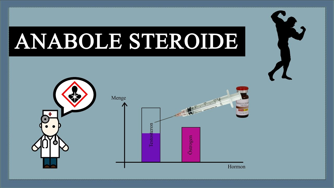 steroide aufbau - The Six Figure Challenge