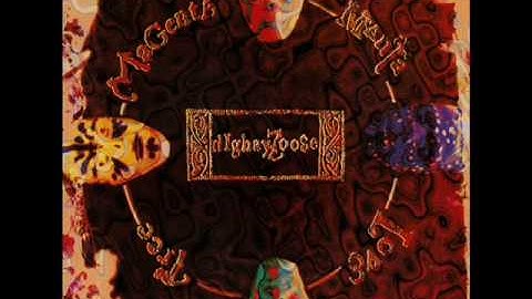 Dig Hay Zoose - 8 - No One Told You? - Magenta Manta Love Tree (1993)