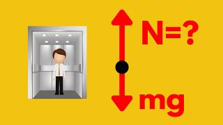 Famous Weightlessness & Elevator Problems Explained (Normal Force & Newton’s 2nd Law) Net Worth