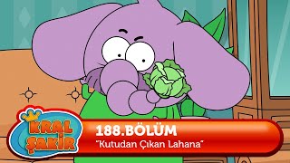 Kral Şakir 188. Bölüm - Kutudan Çıkan Lahana